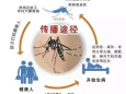 全国疟疾日丨防